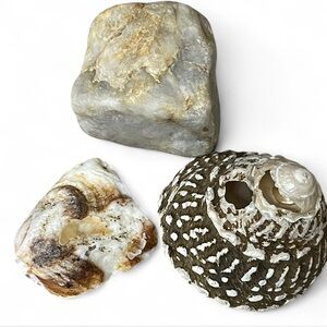 Malibu California Natural Stone and Shell Collection
